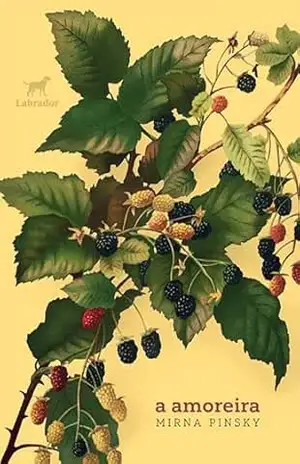 Capa do livro A amoreira - Mirna Pinsky