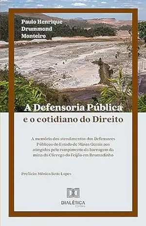 A Defensoria Pública e o cotidiano do Direito: a memória dos atendimentos dos Defensores Públicos do Estado de Minas Gerais aos atingidos pelo rompimento … da mina do Córrego do Feijão em Brumadinho – Paulo Henrique Drummond Monteiro