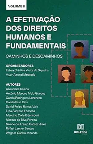 A efetivação dos Direitos Humanos e Fundamentais: caminhos e descaminhos: Volume 2 – Estela Cristina Vieira de Siqueira