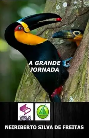 A Grande Jornada De Azul E Amarelo – Neiriberto Silva De Freitas