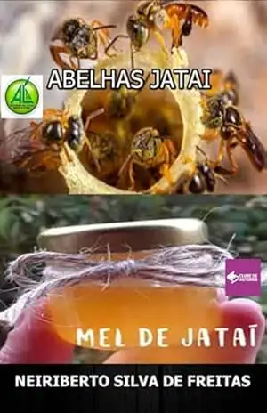 Abelhas Jatai – Neiriberto Silva De Freitas