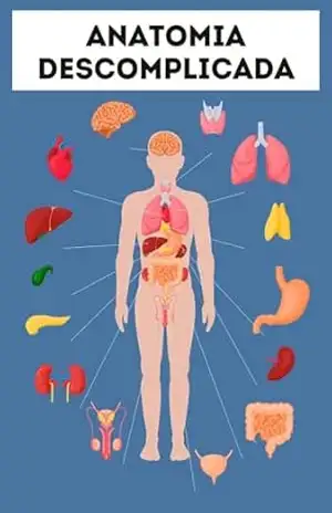 Anatomia Descomplicada: Um Guia Ultrasimplificado Para Você Entender o Corpo Humano de Forma Simples e Direta – Raphael  R.
