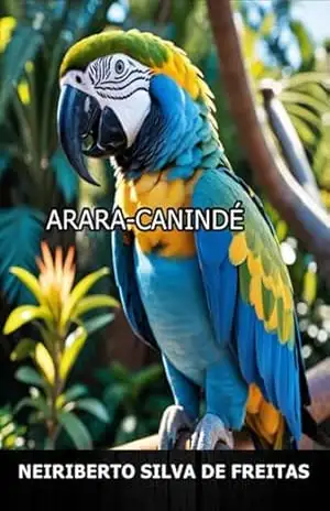 Arara Canindé – Neiriberto Silva De Freitas