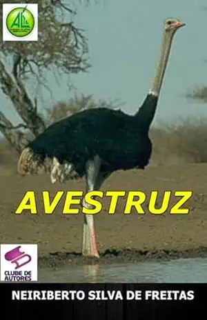 Avestruz – Neiriberto Silva De Freitas