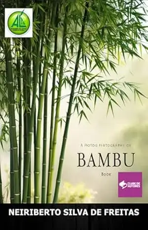 Bambu – Neiriberto Silva De Freitas