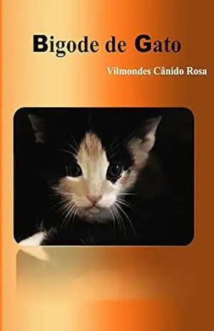 Bigode de Gato – Vilmondes Cândido Rosa