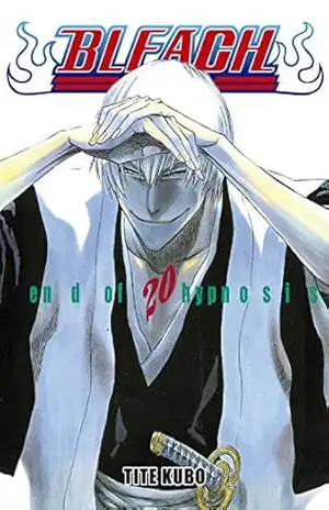 Capa do livro Bleach vol. 20 - Tite Kubo