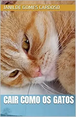 CAIR COMO OS GATOS – Janilde Gomes Cardoso