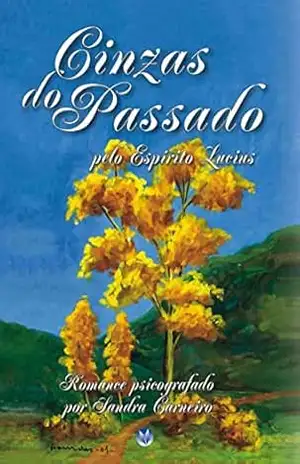 CINZAS DO PASSADO – Sandra  Carneiro