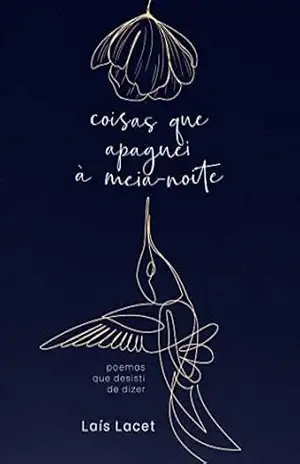 coisas que apaguei à meia–noite – Laís Lacet
