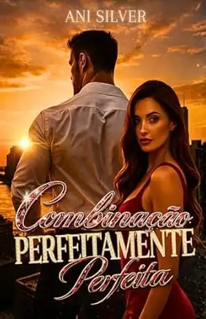 Capa do livro Combinação Perfeitamente Perfeita (Irmãos Barreto) - Ani Silver