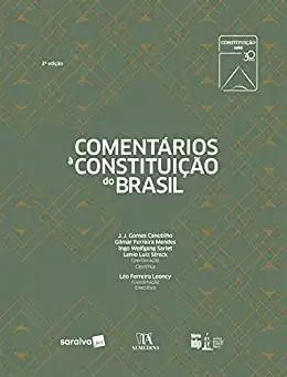 Baixar Comentários à Constituição do Brasil pdf, epub, mobi, eBook