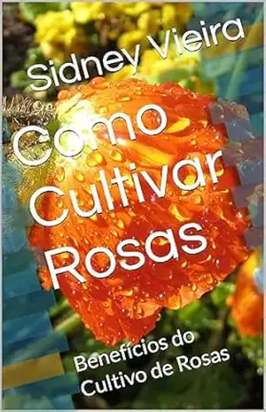 Como Cultivar Rosas: Benefícios do Cultivo de Rosas – Sidney  Vieira