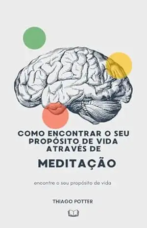 Como encontrar o seu propósito através de meditação – Thiago Potter