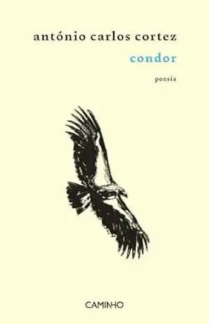 Condor – António Carlos Cortez