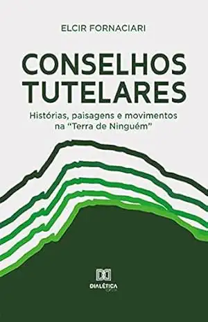 Conselhos Tutelares: histórias, paisagens e movimentos na ”Terra de Ninguém” – ELCIR FORNACIARI Conselhos Tutelares: histórias, paisagens e movimentos na ”Terra de Ninguém” – ELCIR FORNACIARI