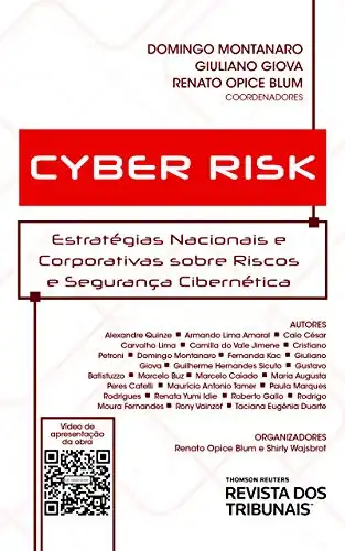 Baixar Cyber risk: estratégias nacionais e corporativas sobre riscos e segurança cibernética pdf, epub, mobi, eBook