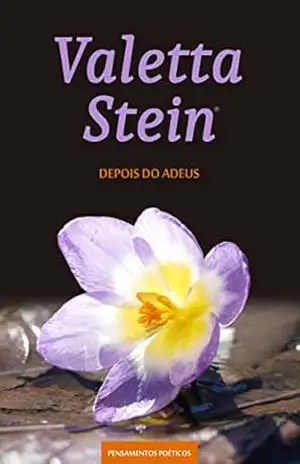Depois do Adeus: Caderno de Pensamentos Poéticos – Décimo Primeiro Volume – Valetta Stein