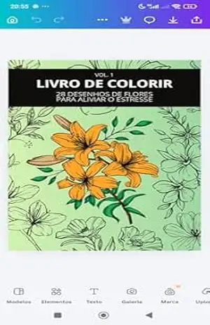 Capa do livro Desenho pra colorir: Colorir - JOANDSON DE JESUS
