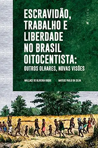 Baixar Escravidão, trabalho e liberdade no Brasil Oitocentista: Outros olhares, novas visões pdf, epub, mobi, eBook
