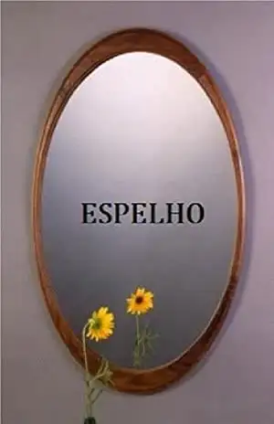 Capa do livro Espelho - Herlisson