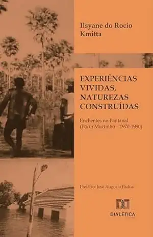 Experiências vividas, naturezas construídas: enchentes no Pantanal (Porto Murtinho – 1970–1990) – Ilsyane do Rocio Kmitta