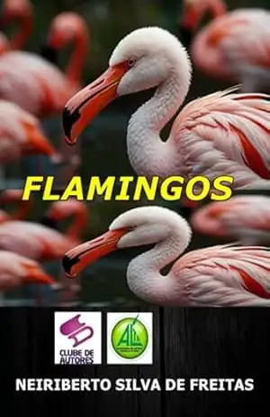 Flamingos – Neiriberto Silva De Freitas