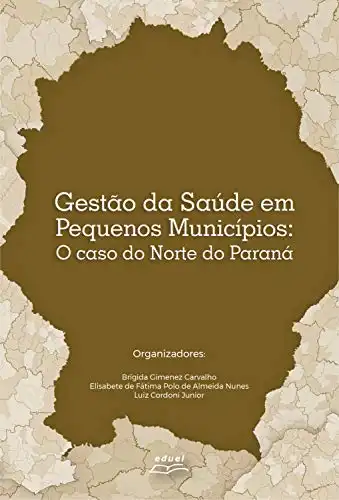 Baixar Gestão da saúde em pequenos municípios: o caso do norte do Paraná pdf, epub, mobi, eBook