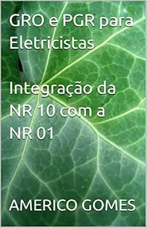 GRO e PGR para Eletricistas – Integração da NR 10 com a NR 01 – AMERICO GOMES GRO e PGR para Eletricistas – Integração da NR 10 com a NR 01 – AMERICO GOMES