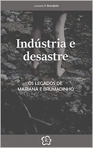 Baixar INDÚSTRIA E DESASTRE: Os legados de Mariana e Brumadinho pdf, epub, mobi, eBook