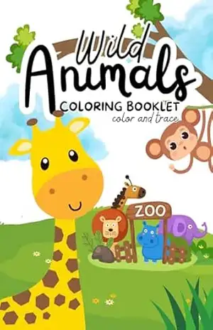 Livro de colorir – Camila Ribeiro