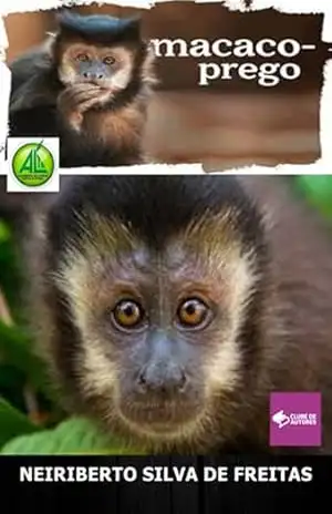 Macaco–prego – Neiriberto Silva De Freitas