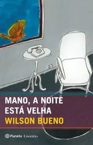 Capa do livro Mano, a noite está velha - Wilson Bueno