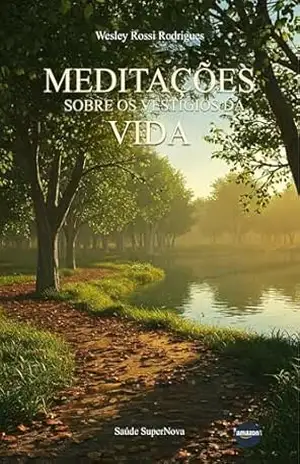 Capa do livro Meditações sobre os vestígios da vida - Wesley Rossi Rodrigues
