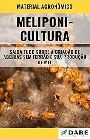 MELIPONICULTURA | Tudo sobre a Criação de Abelhas sem Ferrão – DARE AGRO