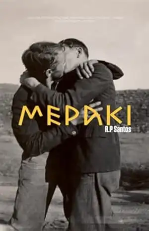 Capa do livro MERAKI: Conto Gay - Ryan Pereira Dos Santos