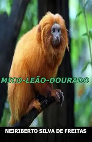 Mico–leão–dourado – Neiriberto Silva De Freitas