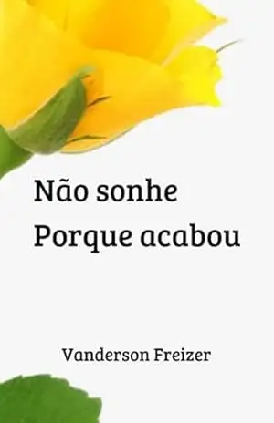 Capa do livro Não Sonhe. Porque Acabou - Vanderson Freizer