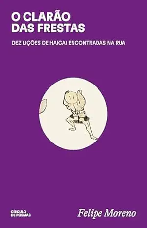 O clarão das frestas – Felipe Moreno