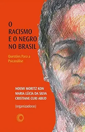 O racismo e o negro no brasil (Palavras Negras) – Noemi Moritz Kon