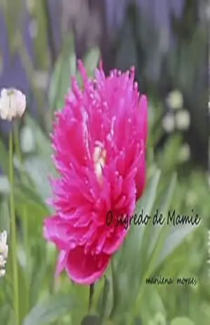O segredo de Mamie – Marilena Moraes
