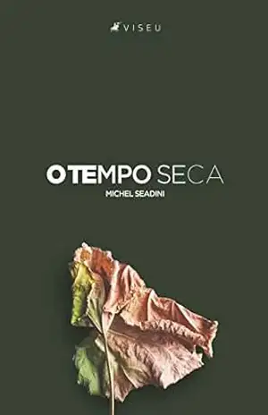 Capa do livro O Tempo Seca - Michel Seadini