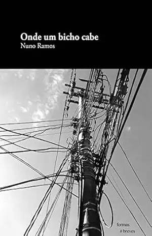 Onde um bicho cabe (Formas Breves) - Nuno Ramos