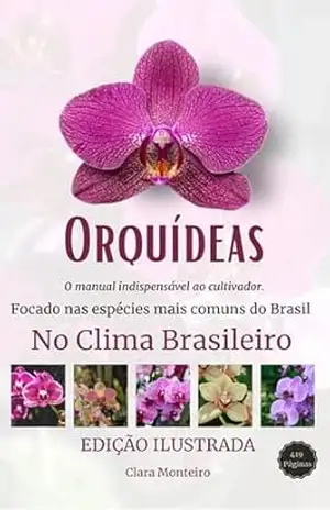 Orquídeas No Clima Brasileiro: Focado nas Espécies mais comuns do Brasil – Clara  Monteiro