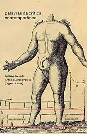 palavras da crítica contemporânea – Luciene Azevedo