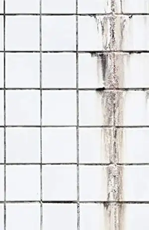 Palavras sujas sobre azulejos brancos – Camilo Soares Palavras sujas sobre azulejos brancos – Camilo Soares