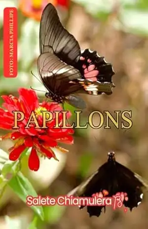 Papillons – Salete  Chiamulera B