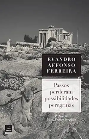 Capa do livro Passos perderam possibilidades peregrinas: Uma visão poética sobre o tradutor José Paulo Paes - Evandro  Affonso Ferreira