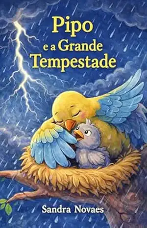 Pipo e a Grande Tempestade – Sandra Novaes