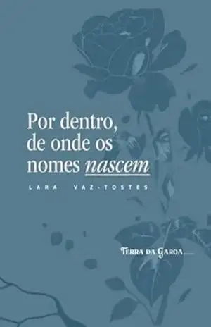 Por Dentro, Onde Os Nomes Nascem – Lara Passini Vaz-tostes